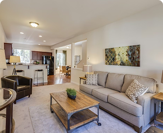 Hình giới thiệu